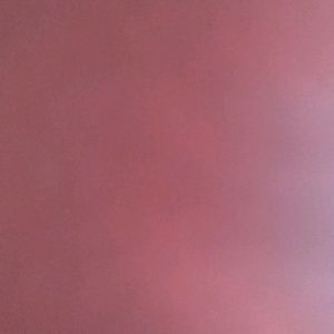 Meet your Posher, Edgar